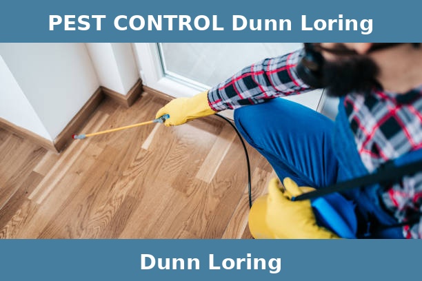 PEST CONTROL Dunn Loring
